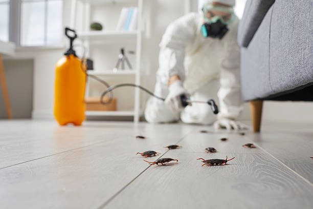 Post-Treatment Bed Bug Interceptor Monitoring in Palmetto