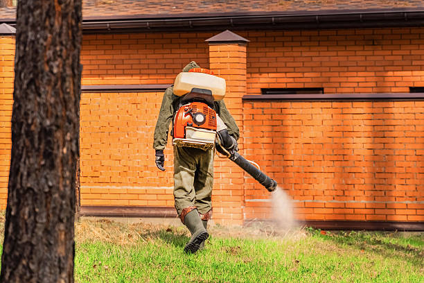 Bed Bug Clearance Verification and Documentation in Palmetto
